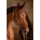 Licol cuir 3 mousquetons - PADDOCK - 14