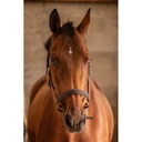 Licol cuir 3 mousquetons - PADDOCK - 16