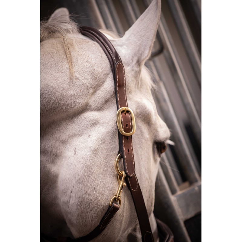 Licol cuir 3 mousquetons - PADDOCK - 17