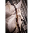Licol cuir 3 mousquetons - PADDOCK - 17