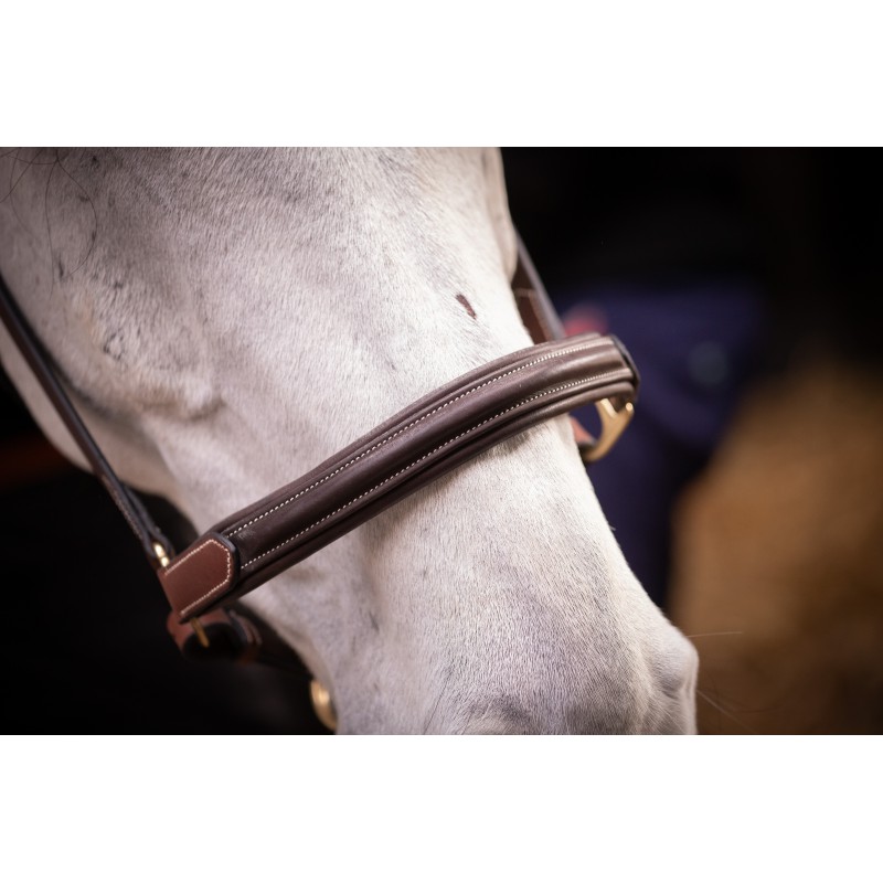 Licol cuir 3 mousquetons - PADDOCK - 19
