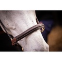 Licol cuir 3 mousquetons - PADDOCK - 19