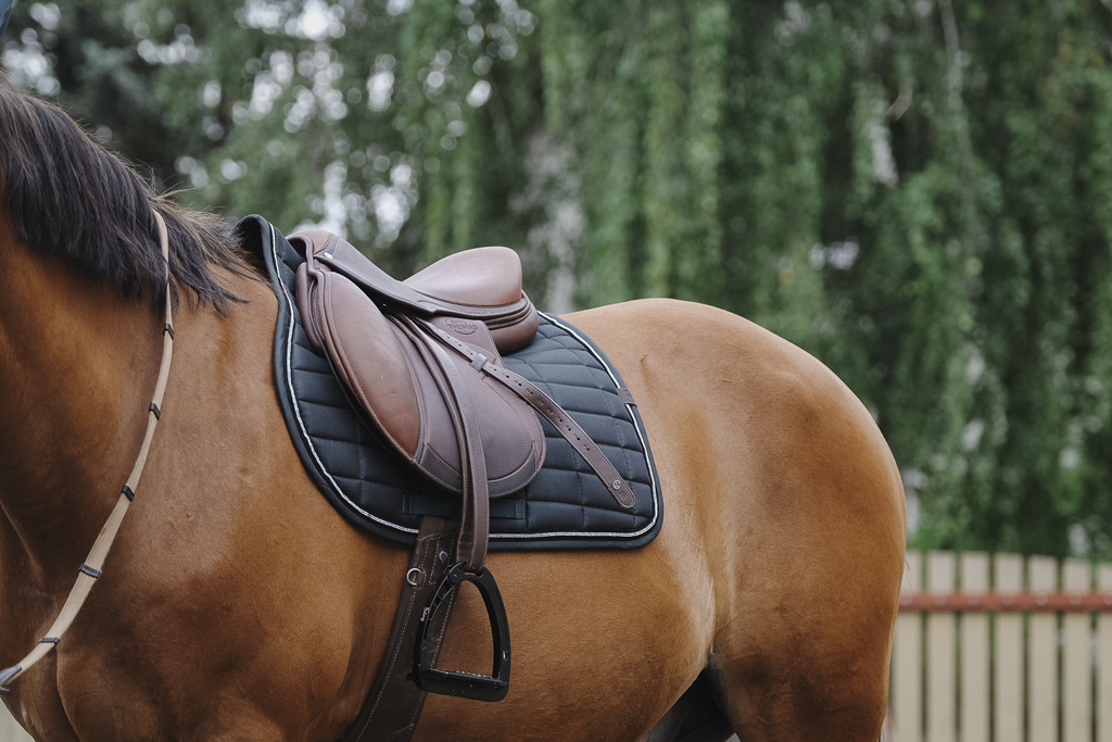 Tapis de selle EQUITHEME "Domino"