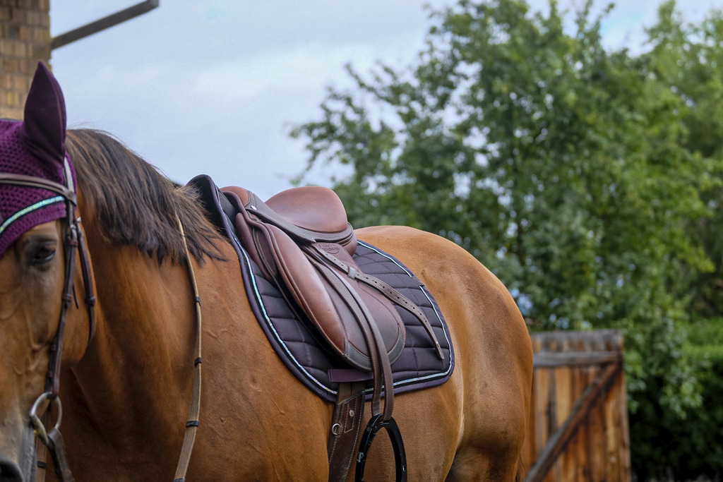 Tapis de selle EQUITHEME "Domino"