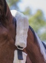 Licol NORTON "Full mouton synthétique"