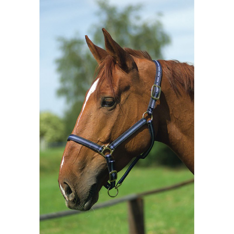 Licol nylon NORTON doublé cuir