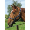 Licol nylon NORTON doublé cuir