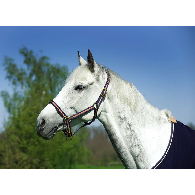 Licol nylon NORTON doublé cuir