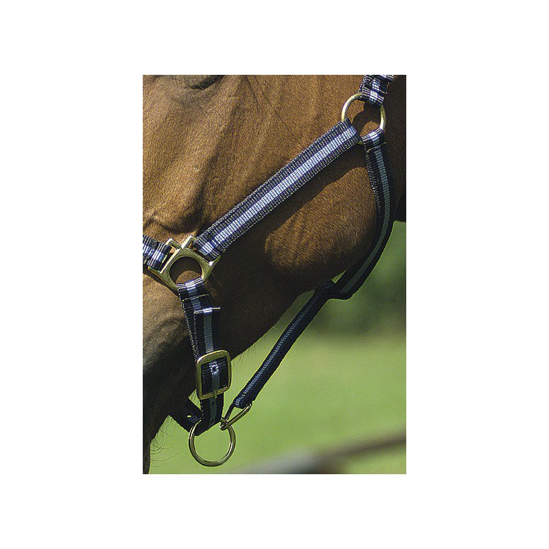 Licol nylon NORTON doublé cuir