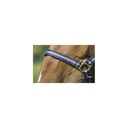 Licol nylon NORTON doublé cuir