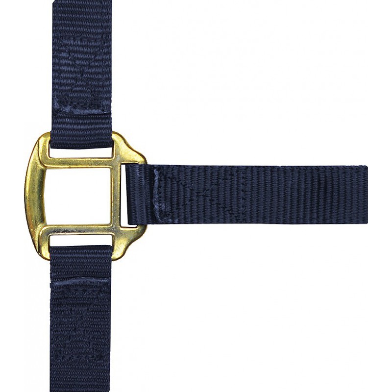 Licol nylon NORTON doublé cuir