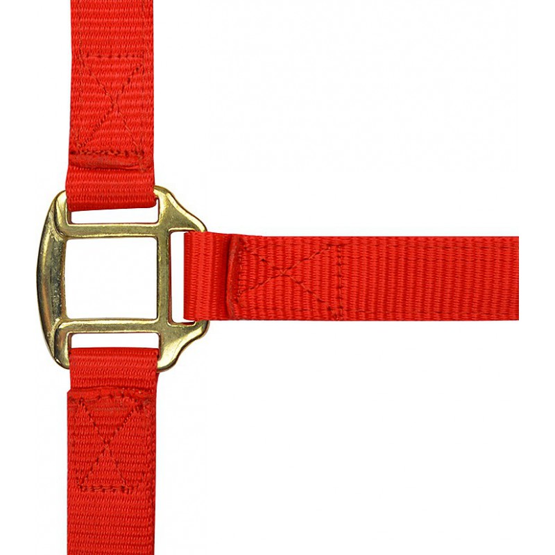 Licol nylon NORTON doublé cuir