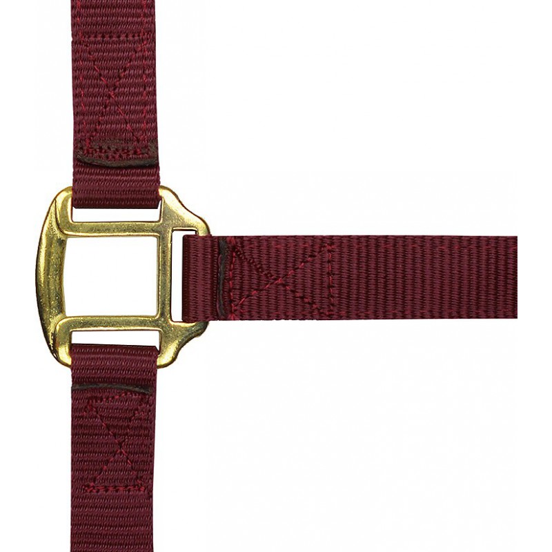 Licol nylon NORTON doublé cuir