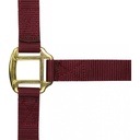 Licol nylon NORTON doublé cuir