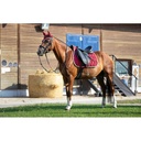 Tapis de selle EQUITHÈME - Polyfun - 16