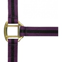 Licol nylon NORTON doublé cuir