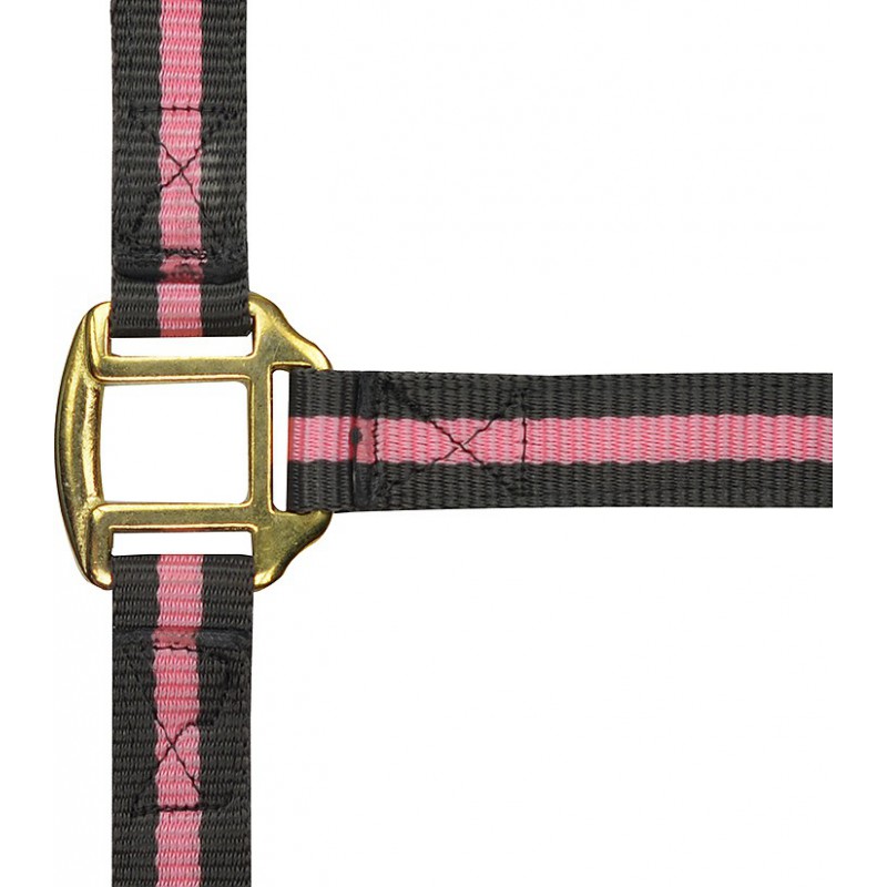 Licol nylon NORTON doublé cuir