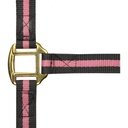Licol nylon NORTON doublé cuir