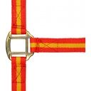 Licol nylon NORTON doublé cuir