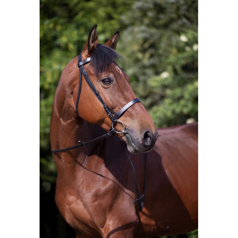 Bridon RIDING WORLD - Muserolle française - 2