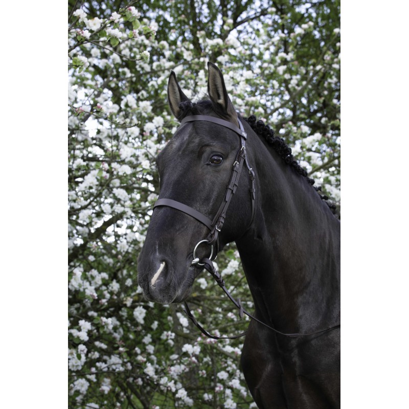Bridon RIDING WORLD - Muserolle française - 3