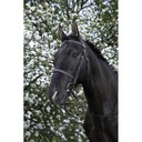 Bridon RIDING WORLD - Muserolle française - 3