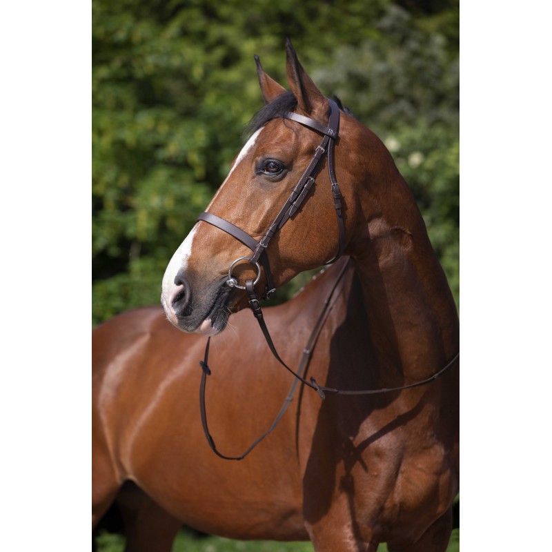 Bridon RIDING WORLD - Muserolle française - 4