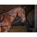 Enrênement Pirelli RIDING WORLD - 3