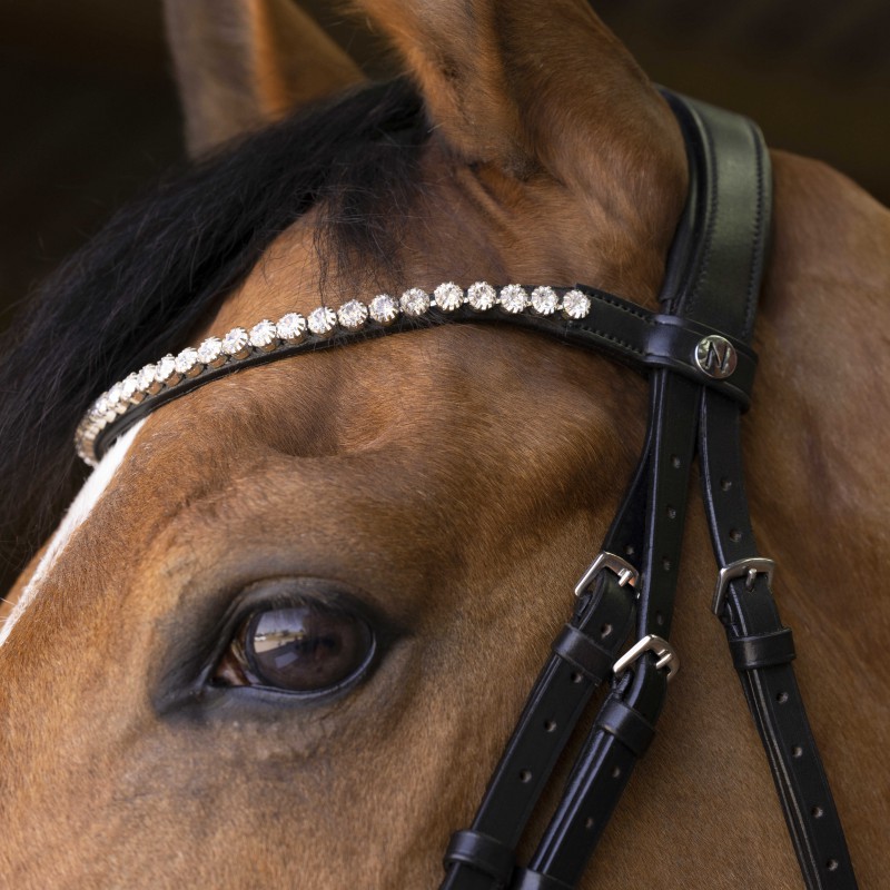 Bridon NORTON PRO - Bella - 3