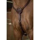 Collier de chasse NORTON PRO - Confort - 5