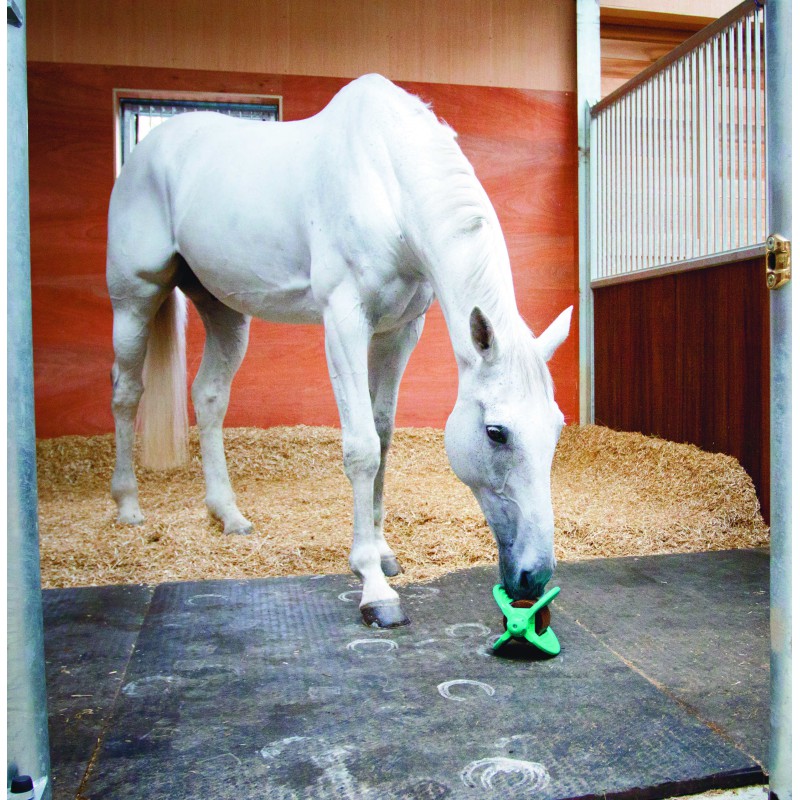 BIZZY HORSE - Bizzy Ball - 3