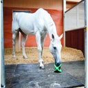BIZZY HORSE - Bizzy Ball - 3