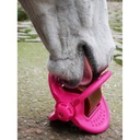 BIZZY HORSE - Bizzy Ball - 7