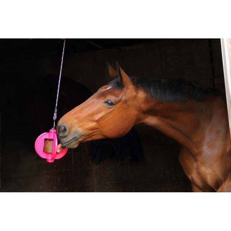 BIZZY HORSE - Bizzy Ball - 8