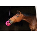 BIZZY HORSE - Bizzy Ball - 8