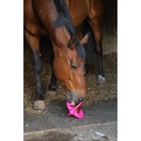 BIZZY HORSE - Bizzy Ball - 9