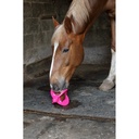 BIZZY HORSE - Bizzy Ball - 10
