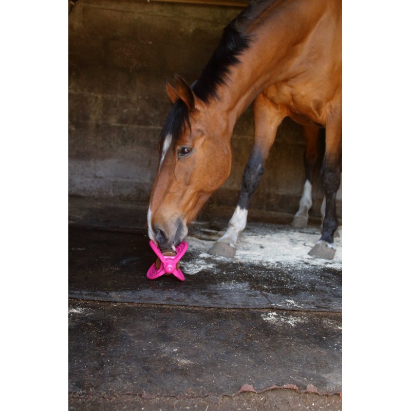 BIZZY HORSE - Bizzy Ball - 11