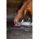 BIZZY HORSE - Bizzy Ball - 11