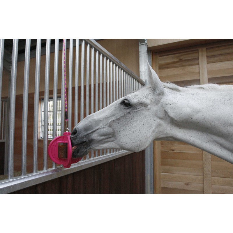 BIZZY HORSE - Bizzy Ball - 13