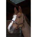 Licol NORTON CLUB - Cuir - 2