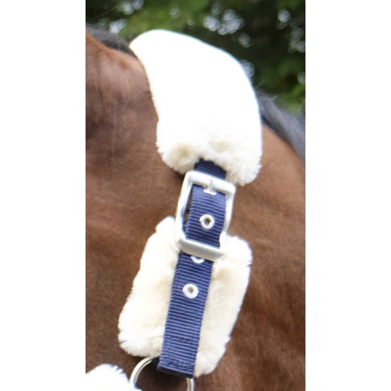 Licol EQUITHÈME "Teddy" - 10