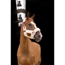 Licol EQUITHÈME "Teddy" - 14