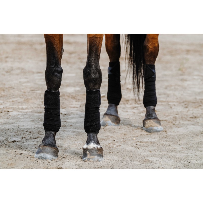 Bandes de polo EQUITHÈME - 5