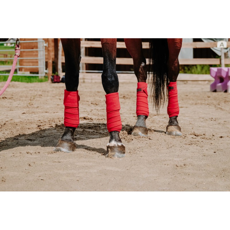 Bandes de polo EQUITHÈME - 12