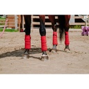 Bandes de polo EQUITHÈME - 12