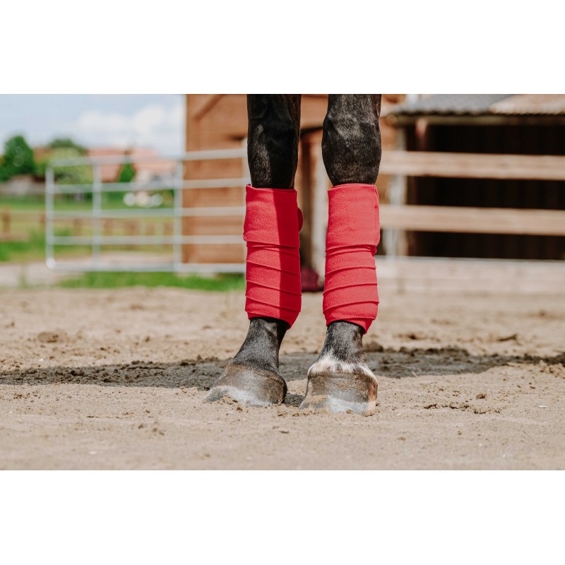 Bandes de polo EQUITHÈME - 13
