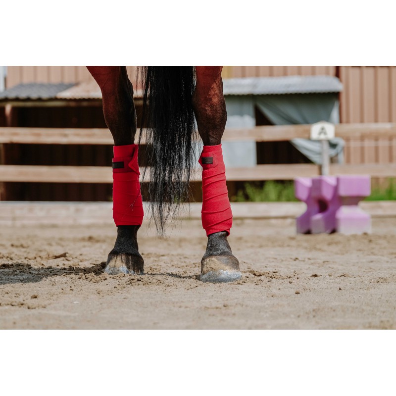 Bandes de polo EQUITHÈME - 14