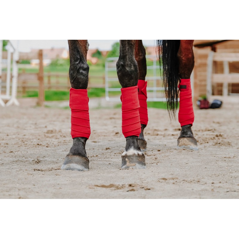 Bandes de polo EQUITHÈME - 15