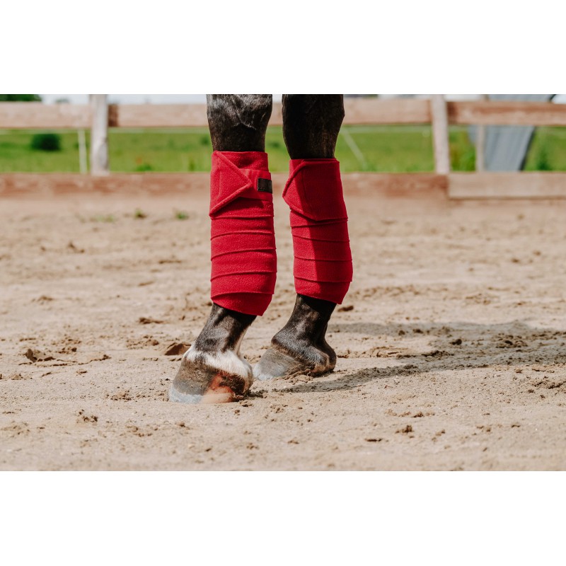 Bandes de polo EQUITHÈME - 16
